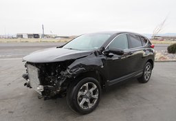 2019 Honda CR-V - Thumbnail 3