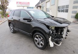 2019 Honda CR-V - Thumbnail 2