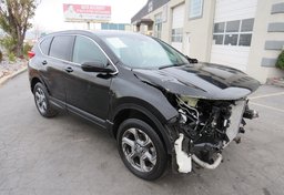 2019 Honda CR-V - Thumbnail 4