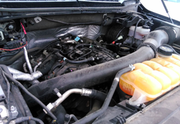 2016 Ford F-150 - Thumbnail 4