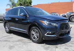 2019 Infiniti QX60 - Thumbnail 3