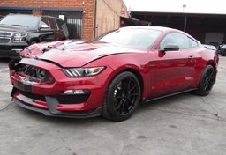 2019 Ford Mustang - Thumbnail 3