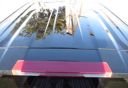 2021 Chevrolet Silverado 1500 - Thumbnail 13