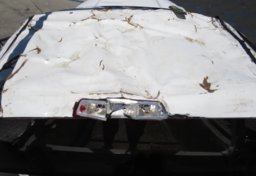 2019 Ram 2500 - Thumbnail 14