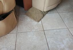 2011 Freightliner XCM Chassis - Thumbnail 5