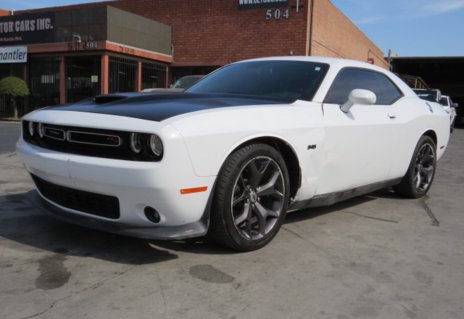 Picture of 2019 Dodge Challenger