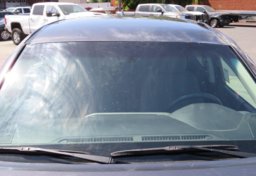 2019 Toyota Tacoma - Thumbnail 15