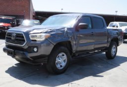 2019 Toyota Tacoma - Thumbnail 4