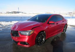 2020 Acura TLX - Thumbnail 3