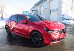 2020 Acura TLX - Thumbnail 4