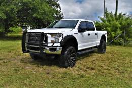 Picture of 2016 Ford F-150