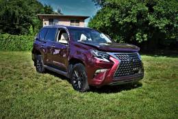 Picture of 2020 Lexus GX