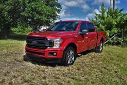 Picture of 2020 Ford F-150