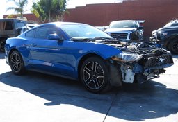 2021 Ford Mustang - Image 1