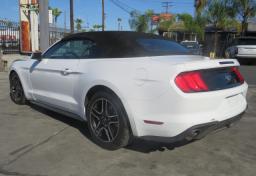 Thumbnail of 2022 Ford Mustang