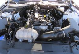 Thumbnail of 2022 Ford Mustang