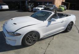 Thumbnail of 2022 Ford Mustang