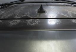 Thumbnail of 2010 Toyota 4Runner