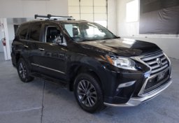 2017 Lexus GX 460 - Image 4