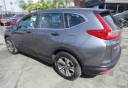 2019 Honda CR-V - Image 7