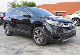 2019 Honda CR-V - Image 4