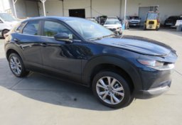 2020 Mazda CX-30 - Image 1