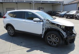 2020 Honda CR-V - Image 2