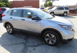 2019 Honda CR-V - Image 2