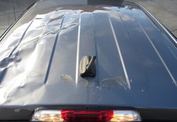 2021 Ford Ranger - Image 15