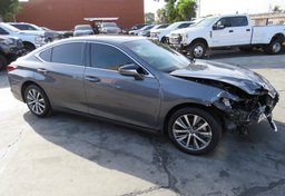 2020 Lexus ES - Image 2