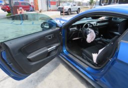 2017 Ford Mustang - Image 15