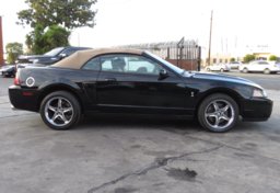 2003 Ford Mustang - Image 7