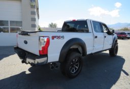 2019 Ford Super Duty F-250 SRW - Image 8