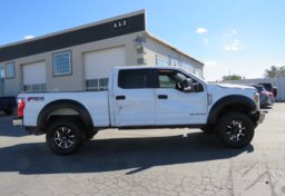 2019 Ford Super Duty F-250 SRW - Image 10
