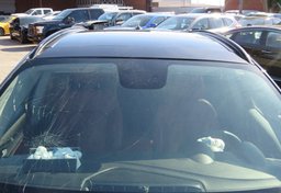 2019 Alfa Romeo Stelvio - Image 13