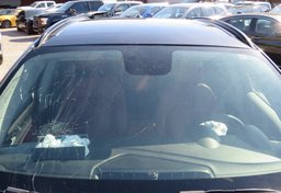 2019 Alfa Romeo Stelvio - Image 14