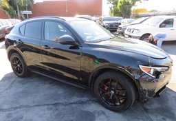 2019 Alfa Romeo Stelvio - Image 2