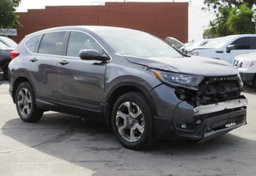2019 Honda CR-V - Image 2