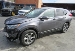 2019 Honda CR-V - Image 3