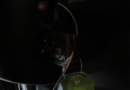 2018 Volkswagen Atlas - Image 38