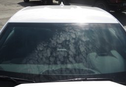 2021 Chevrolet Camaro - Image 13