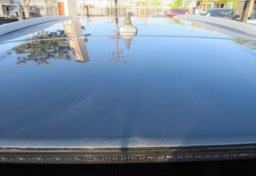 2020 Ford Edge - Image 14