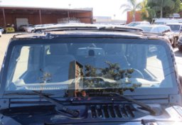 2013 Jeep Wrangler Unlimited - Image 13