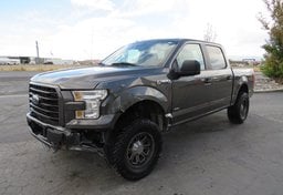2017 Ford F-150 - Image 2