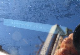 2019 Toyota Tacoma - Image 50