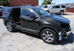 2019 Honda CR-V - Image 2