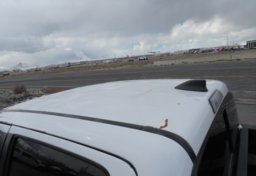 2020 Toyota Tacoma 4WD - Image 16