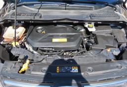 Thumbnail of 2013 Ford Escape