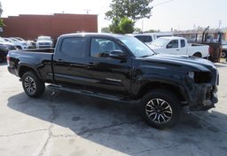 2021 Toyota Tacoma - Image 2