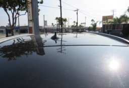 2017 BMW X5 - Image 15